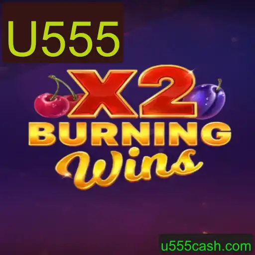 Explorando BurningWinsX2: A Emocionante Experiência de Jogo